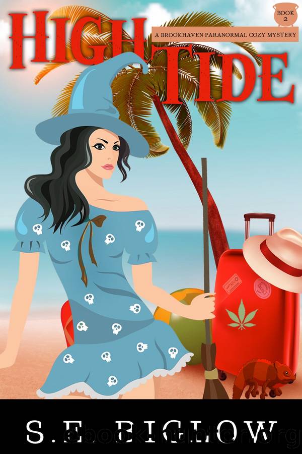 High Tide by S.E. Biglow