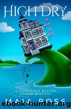 High and Dry: A Humorous Beaver Island Mystery (The Beaver Island Mysteries Book 3) by Maia Ross