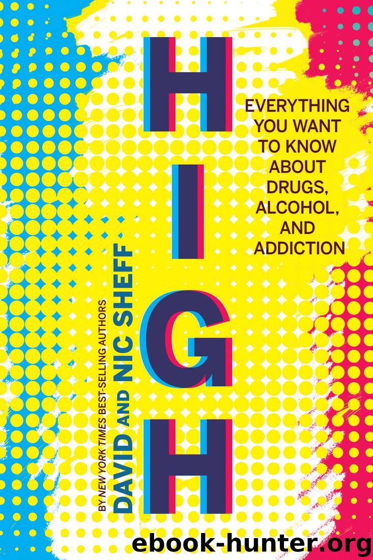 High by David Sheff