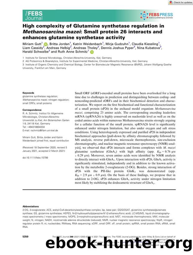 High complexity of Glutamine synthetase regulation in Methanosarcina mazei: Small protein 26 interacts and enhances glutamine synthetase activity by Unknown