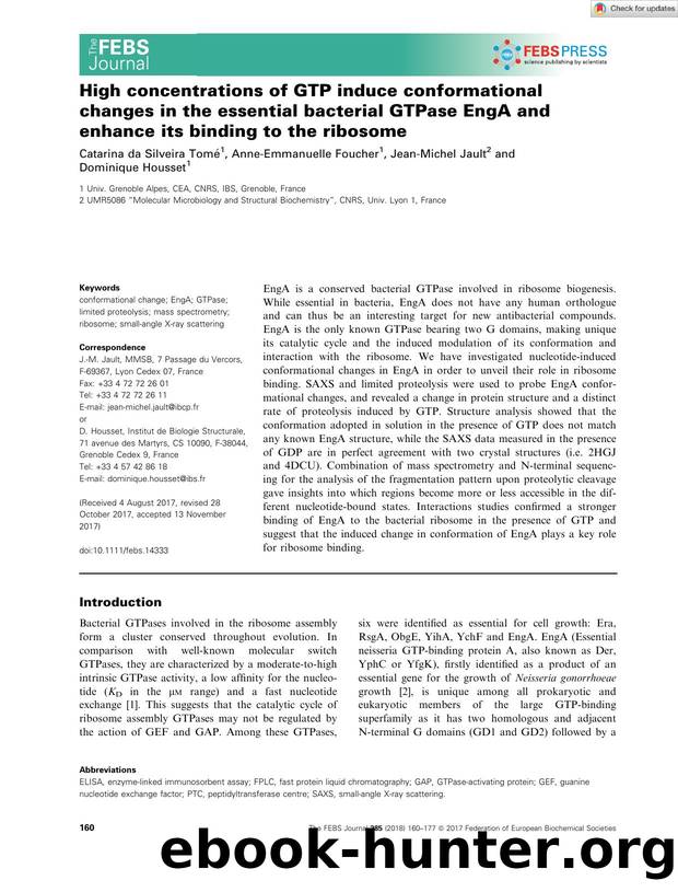High concentrations of GTP induce conformational changes in the essential bacterial GTPase EngA and enhance its binding to the ribosome by Unknown