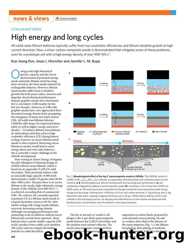 High energy and long cycles by Kun Joong Kim & Jesse J. Hinricher & Jennifer L. M. Rupp