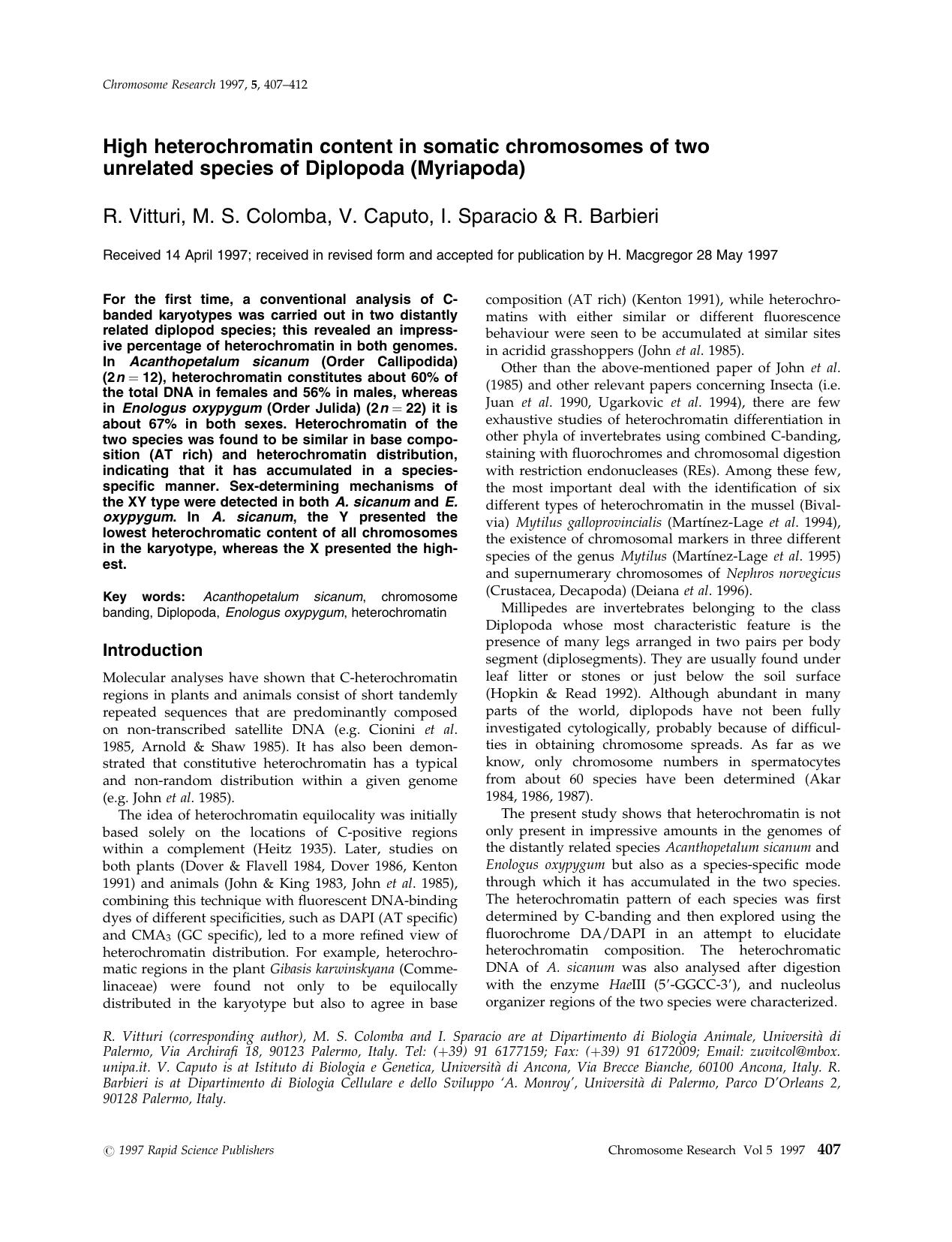 High heterochromatin content in somatic chromosomes of two unrelated species of Diplopoda (Myriapoda) by Unknown