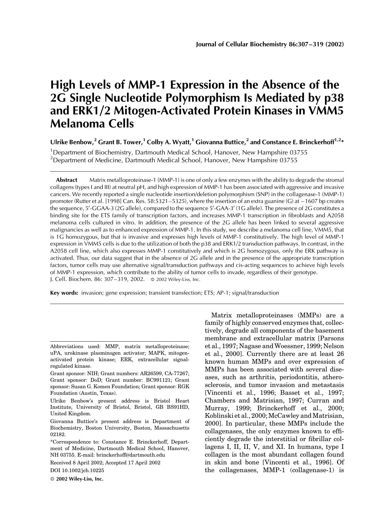 High levels of MMP-1 expression in the absence of the 2G single nucleotide polymorphism is mediated by p38 and ERK12 mitogen-activated protein kinases in VMM5 melanoma cells by Unknown