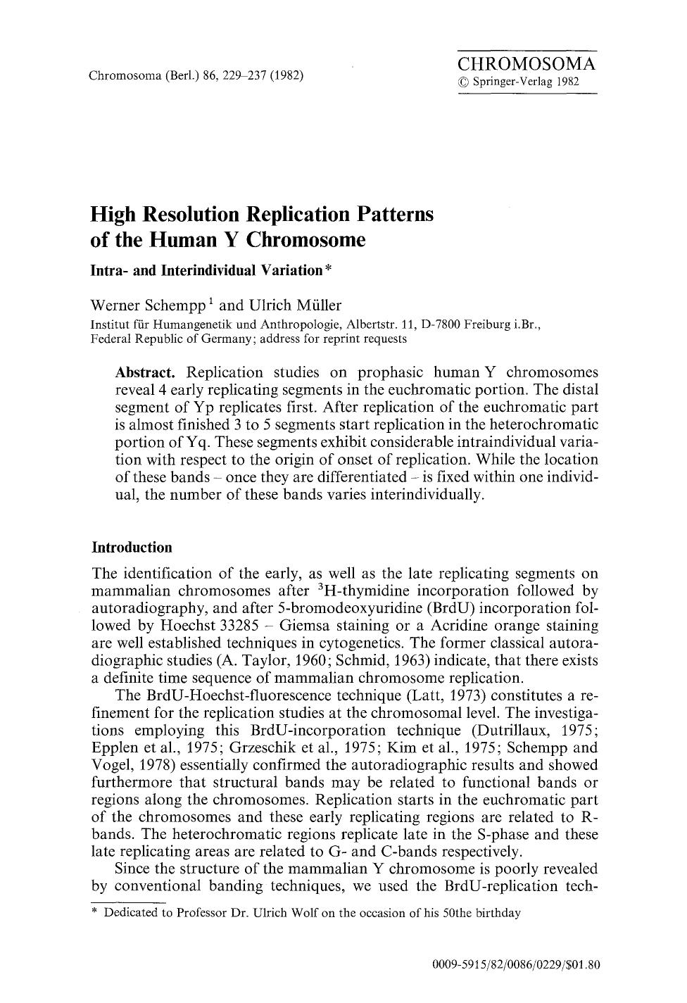 High resolution replication patterns of the human Y chromosome by Unknown