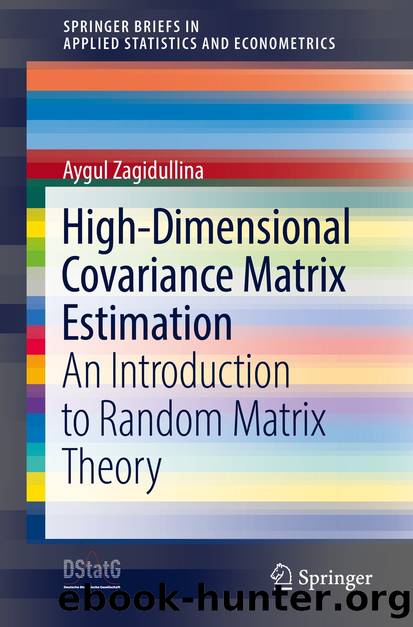 High-Dimensional Covariance Matrix Estimation by Aygul Zagidullina