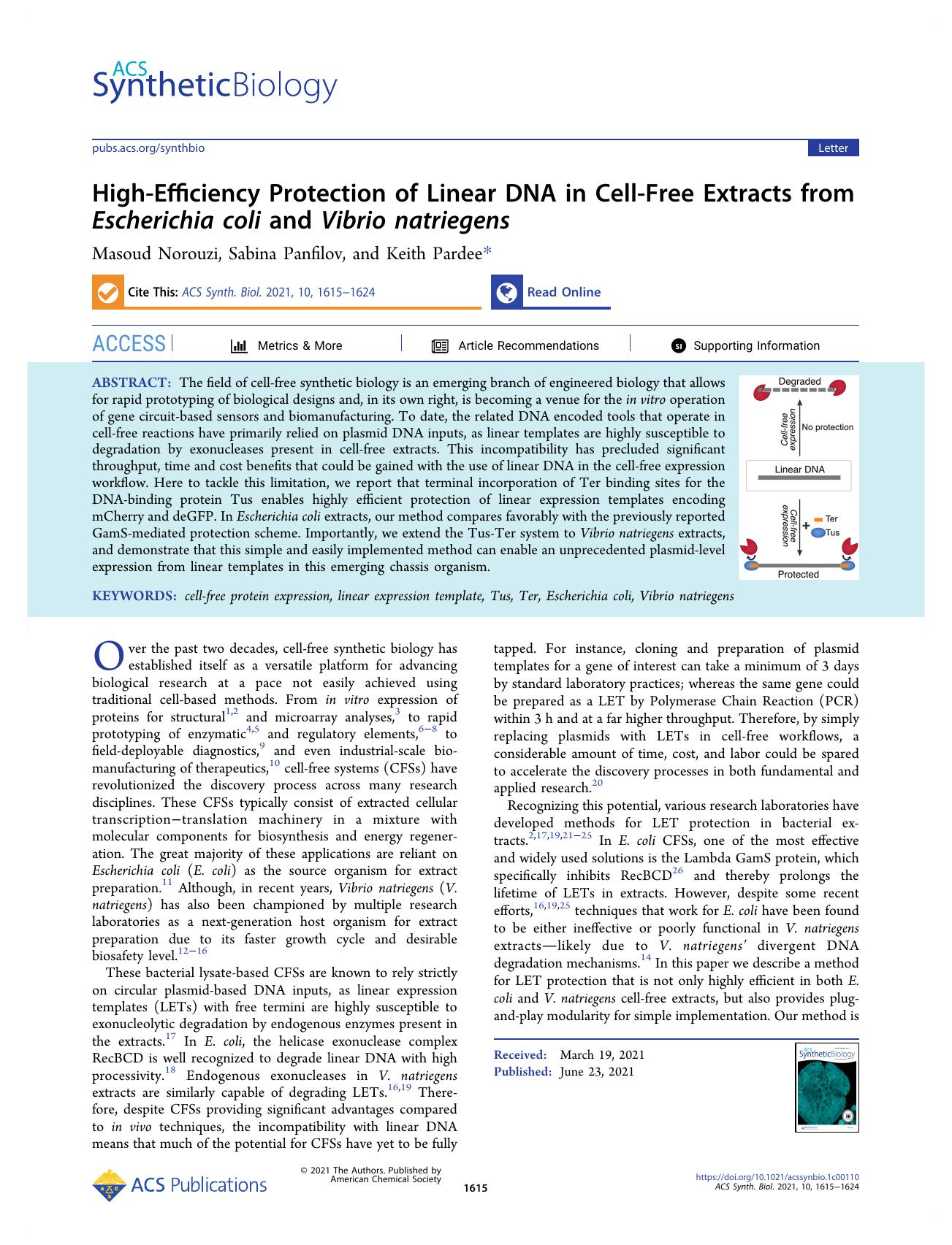 High-Efficiency Protection of Linear DNA in Cell-Free Extracts from Escherichia coli and Vibrio natriegens by Masoud Norouzi Sabina Panfilov and Keith Pardee