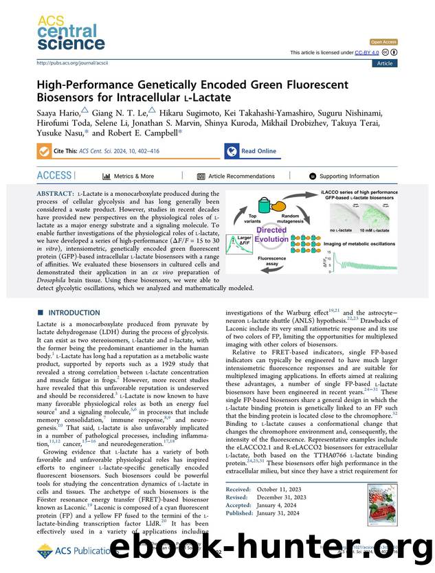 High-Performance Genetically Encoded Green Fluorescent Biosensors for Intracellular lâLactate by unknow
