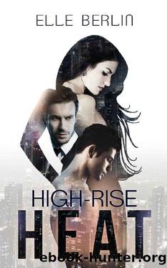 High-Rise Heat: A Love Triangle Boss Romance (Heat Series Book 1) by Elle Berlin