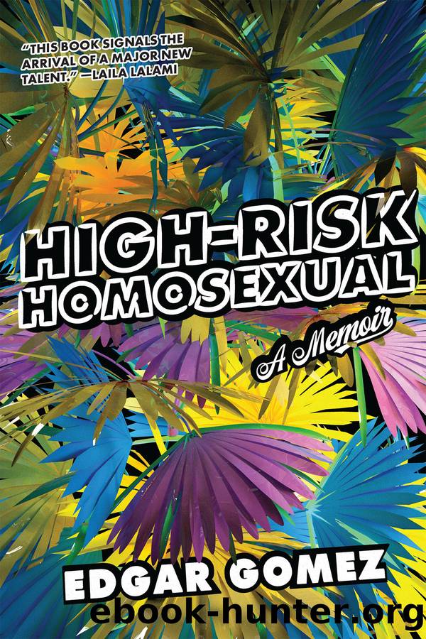 High-Risk Homosexual by Edgar Gomez