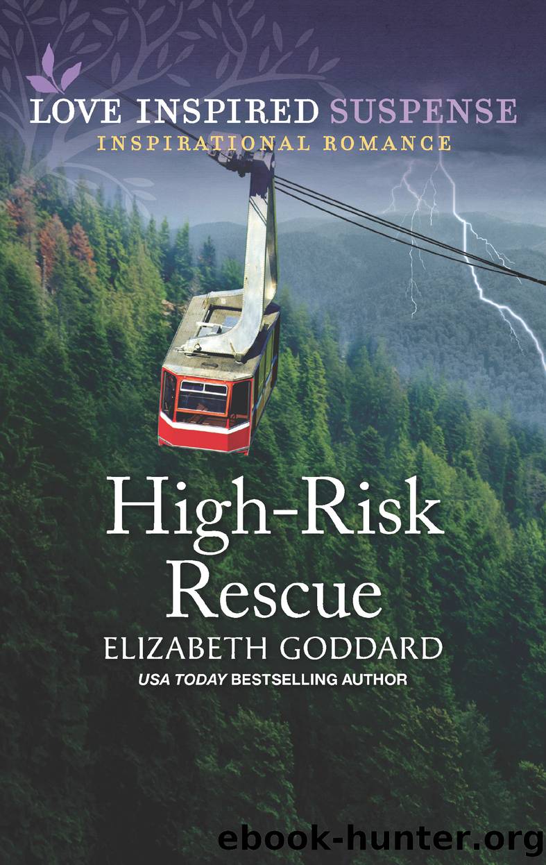 High-Risk Rescue by Elizabeth Goddard