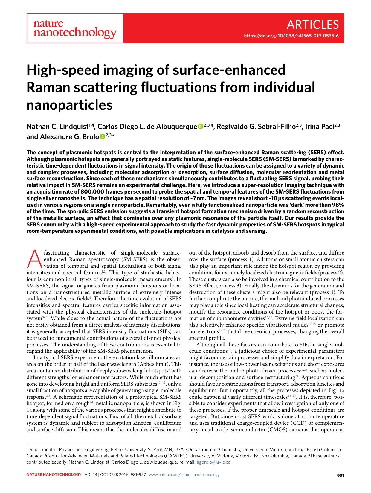 High-speed imaging of surface-enhanced Raman scattering fluctuations from individual nanoparticles by unknow