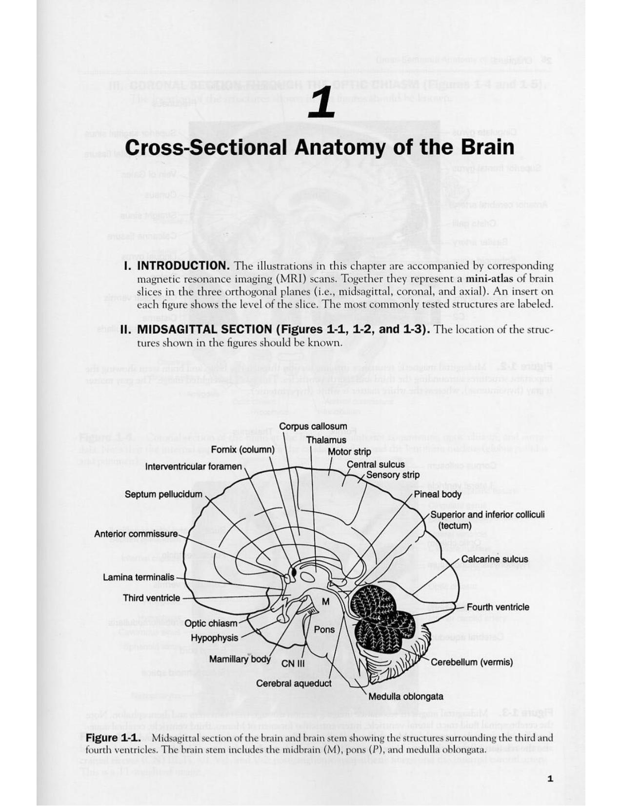 High-yield neuroanatomy by James D Fix; Jennifer K Brueckner