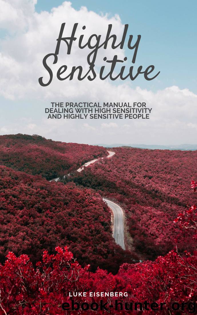 Highly Sensitive by Luke Eisenberg
