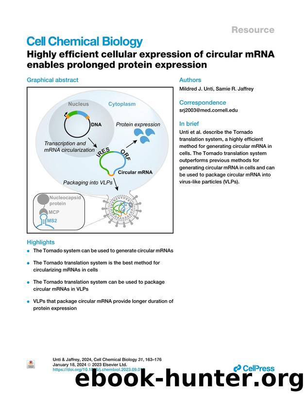 Highly efficient cellular expression of circular mRNA enables prolonged protein expression by Mildred J. Unti & Samie R. Jaffrey