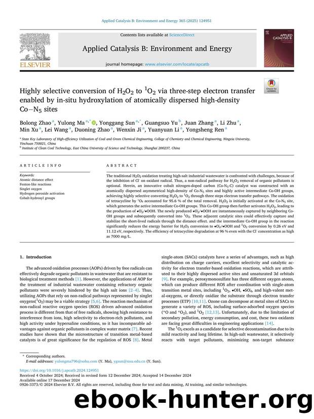 Highly selective conversion of H2O2 to 1O2 via three-step electron transfer enabled by in-situ hydroxylation of atomically dispersed high-density CoâN5 sites by unknow