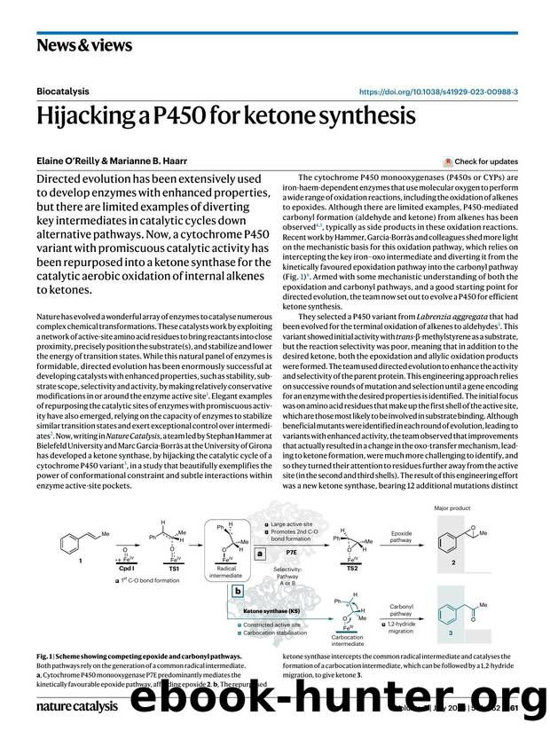 Hijacking a P450 for ketone synthesis by Elaine O’Reilly & Marianne B. Haarr