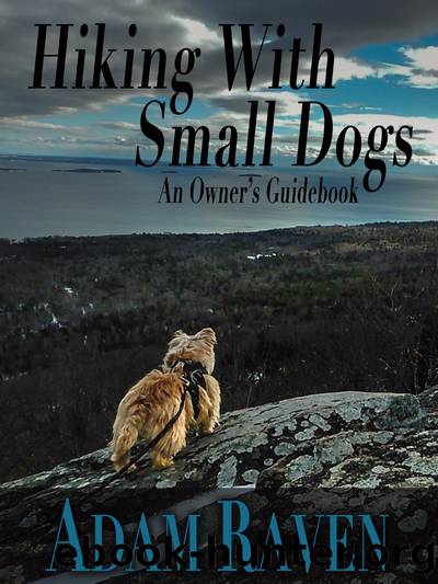 Hiking With Small Dogs by Adam Raven