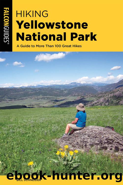Hiking Yellowstone National Park by Bill Schneider