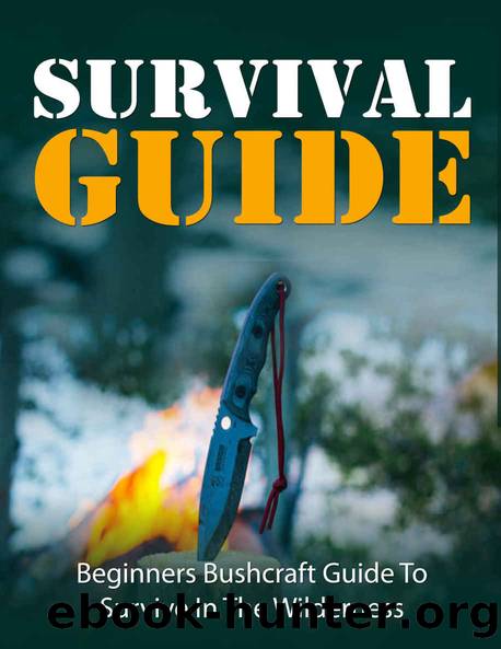 Hiking: Camping: Bushcraft Survival Guide (Survival Bushcraft Outdoor Life) (Reference Natural Disasters Wilderness) by Ferguson Tony