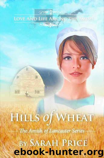 Hills of Wheat: The Amish of Lancaster by Sarah Price