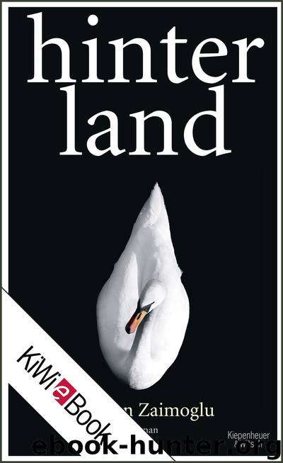 Hinterland by Zaimoglu Feridun