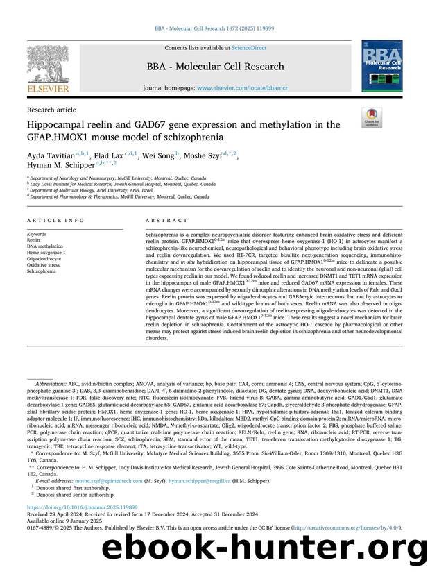 Hippocampal reelin and GAD67 gene expression and methylation in the GFAP.HMOX1 mouse model of schizophrenia by Ayda Tavitian & Elad Lax & Wei Song & Moshe Szyf & Hyman M. Schipper