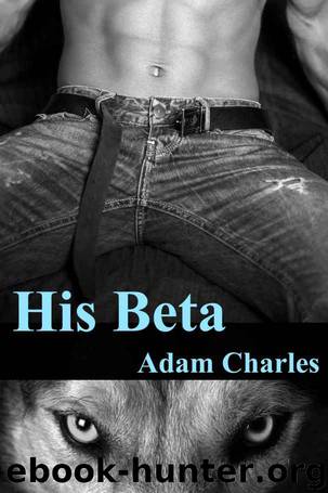 His Beta (Changes Book 2) by Adam Charles