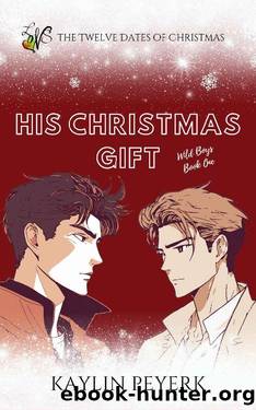 His Christmas Gift: A College Contemporary Christmas Romance Novella by Kaylin Peyerk