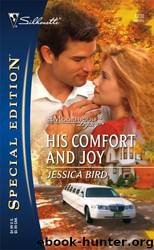 His Comfort And Joy by Bird Jessica
