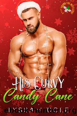 His Curvy Candy Cane: F*** Under The Mistletoe by Lyssa J Cole