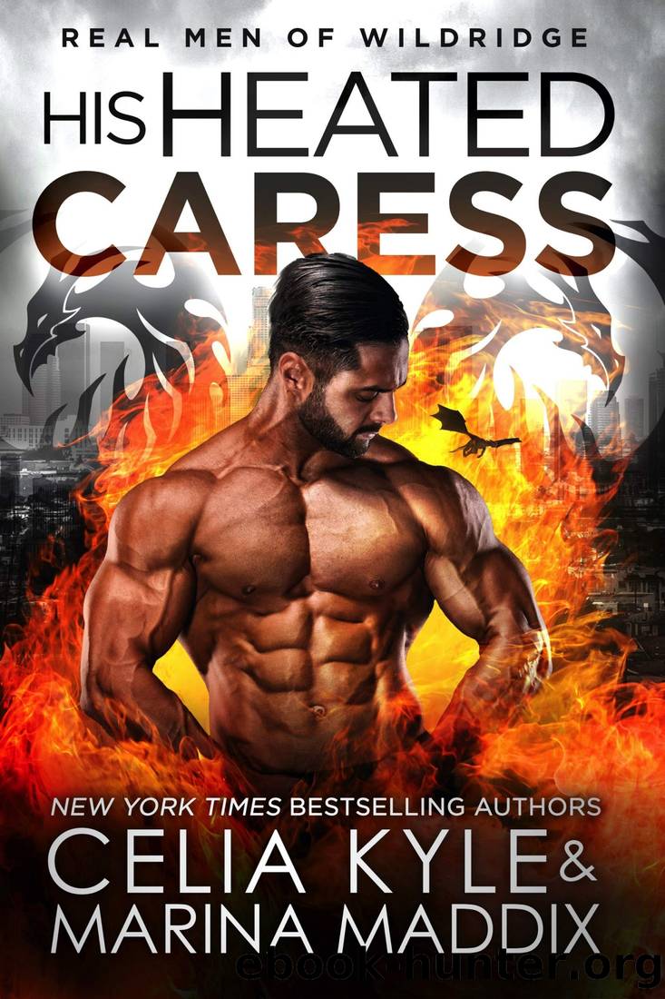His Heated Caress by Kyle Celia & Maddix Marina