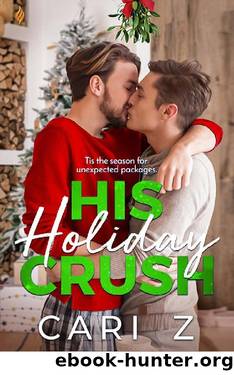 His Holiday Crush by Cari Z