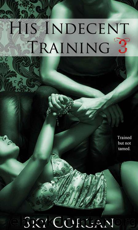His Indecent Training 3 by Sky Corgan