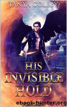 His Invisible Hold (The Vampire Realm. Book 1) by Tanya Coleby