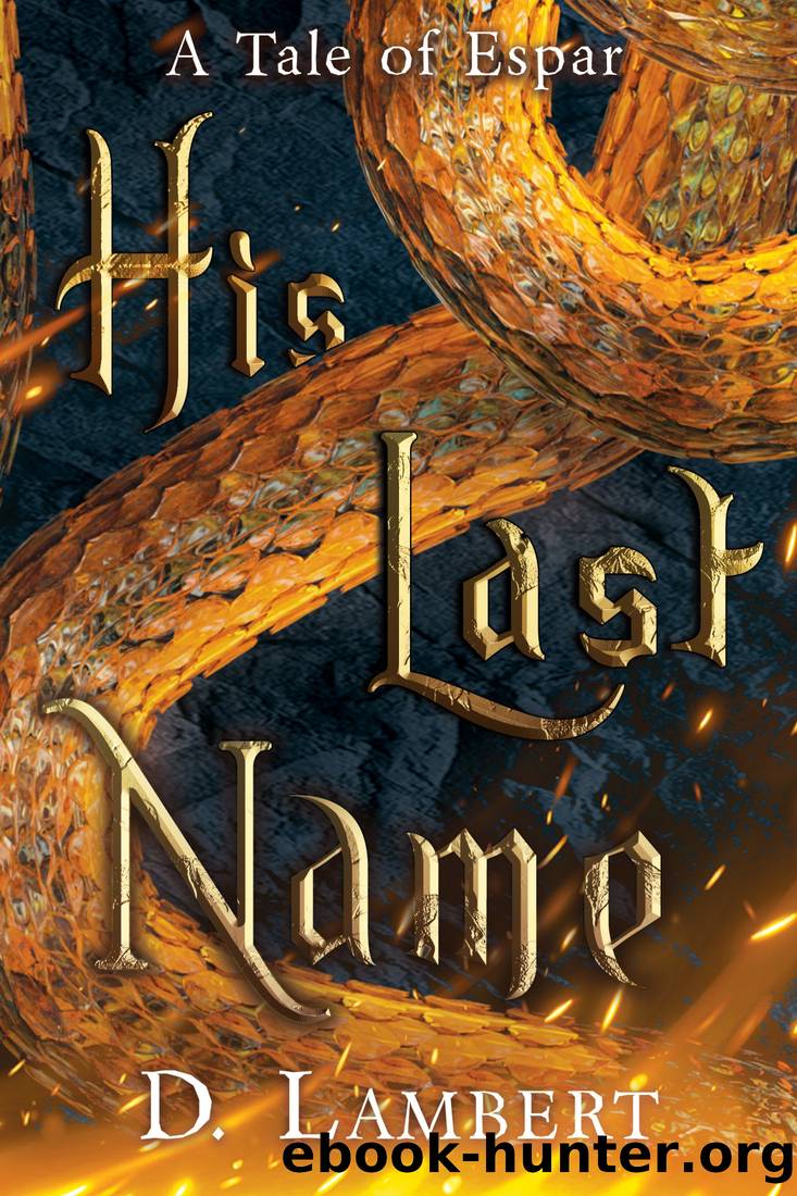 His Last Name by D. Lambert