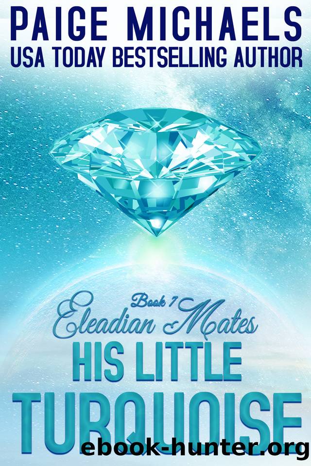 His Little Turquoise by Paige Michaels
