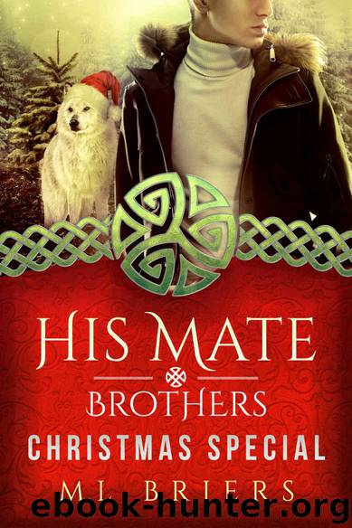 His Mate by Briers M L
