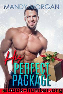 His Perfect Package (A Very Curvy Christmas Book 3) by Mandy Morgan