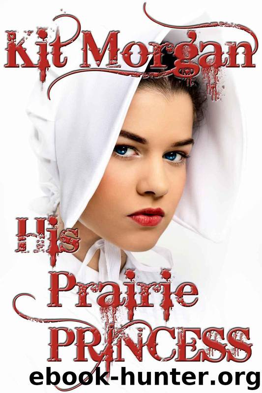 His Prairie Princess (Prairie Brides) by Morgan Kit