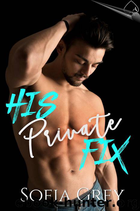 His Private Fix by Sofia Grey