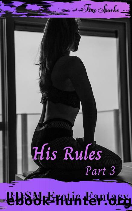 His Rules Part 3 by Tiny Sparks
