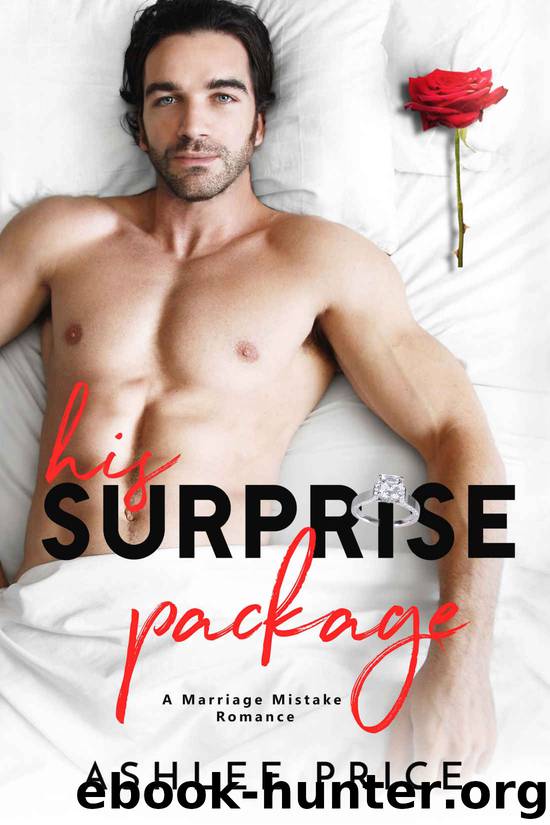 His Surprise Package by Price Ashlee