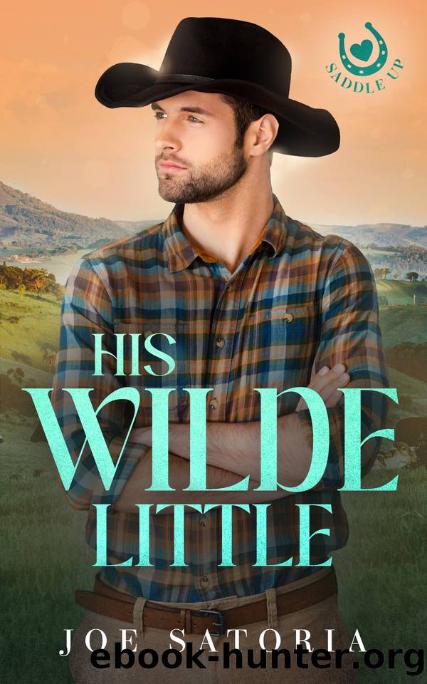 His Wilde Little: An MM Cowboy Daddy Romance by Joe Satoria