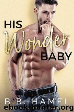 His Wonder Baby: A Miracle Baby Romance by B. B. Hamel