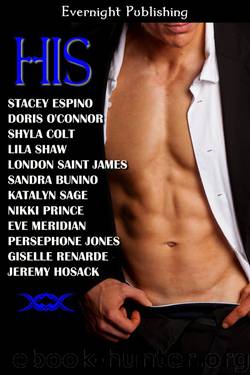 His by 12 Author Anthology