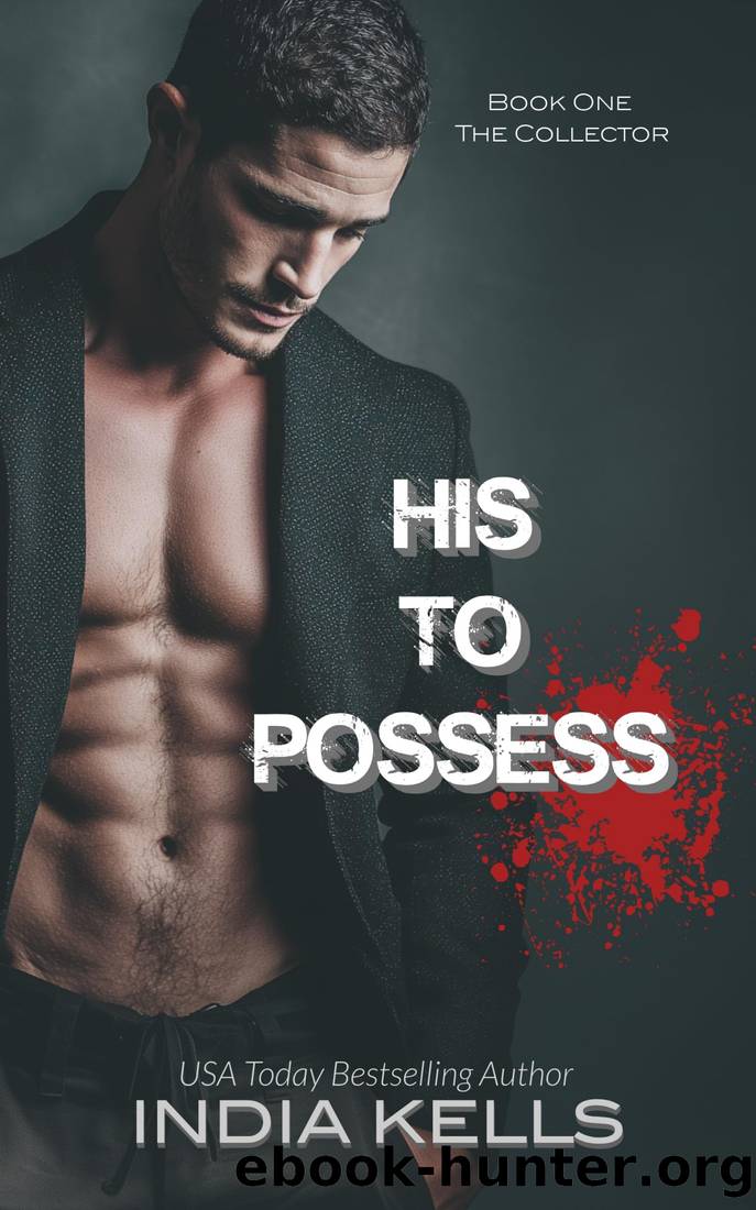 His to Possess (Obsession & Redemption Book 1) by India Kells