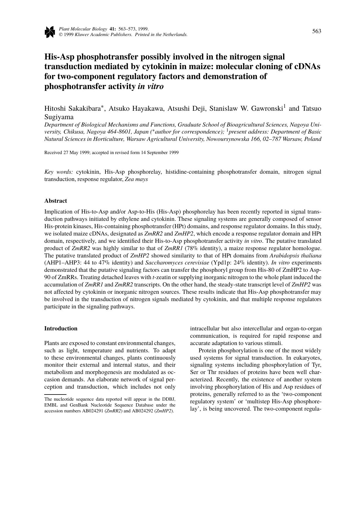 His-Asp phosphotransfer possibly involved in the nitrogen signal transduction mediated by cytokinin in maize: molecular cloning of cDNAs for two-component regulatory factors and de by Unknown