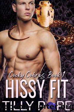 Hissy Fit by Tilly Pope
