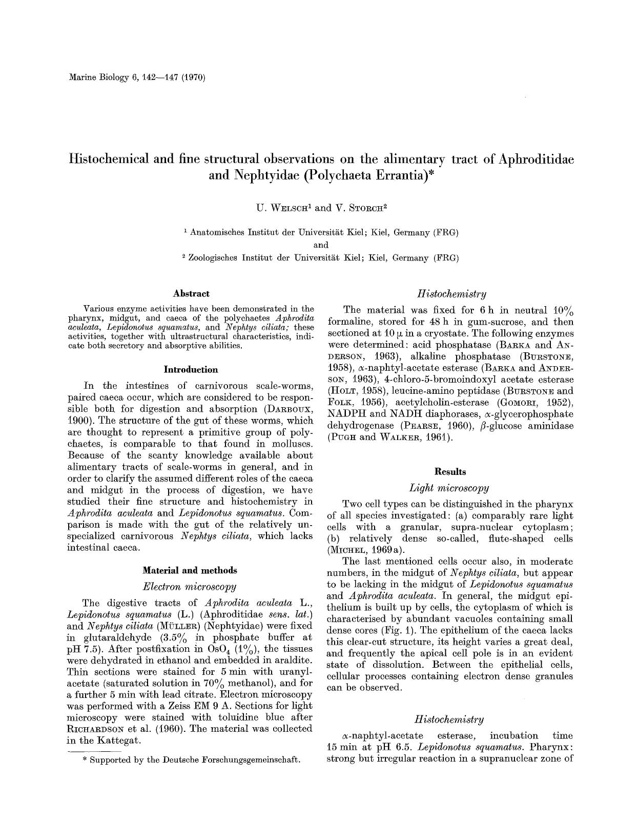 Histochemical and fine structural observations on the alimentary tract of Aphroditidae and Nephtyidae (Polychaeta Errantia) by Unknown